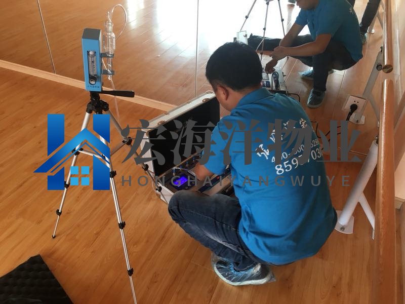 家有老鼠應(yīng)該怎么去除？